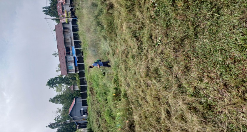 KEGIATAN JUM'AT BERSIH STKIP MELAWI DUKUNG PROGRAM PEMERINTAH
